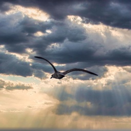 schottland rundreise 2023_waltl5